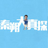 秦朔大真探
