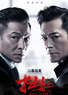 扫毒2：天地对决