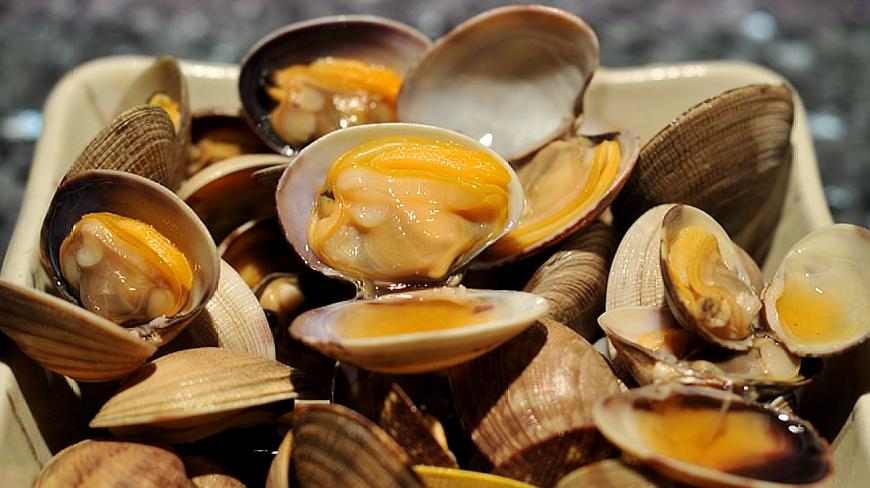 花蛤不会泡总有沙子？