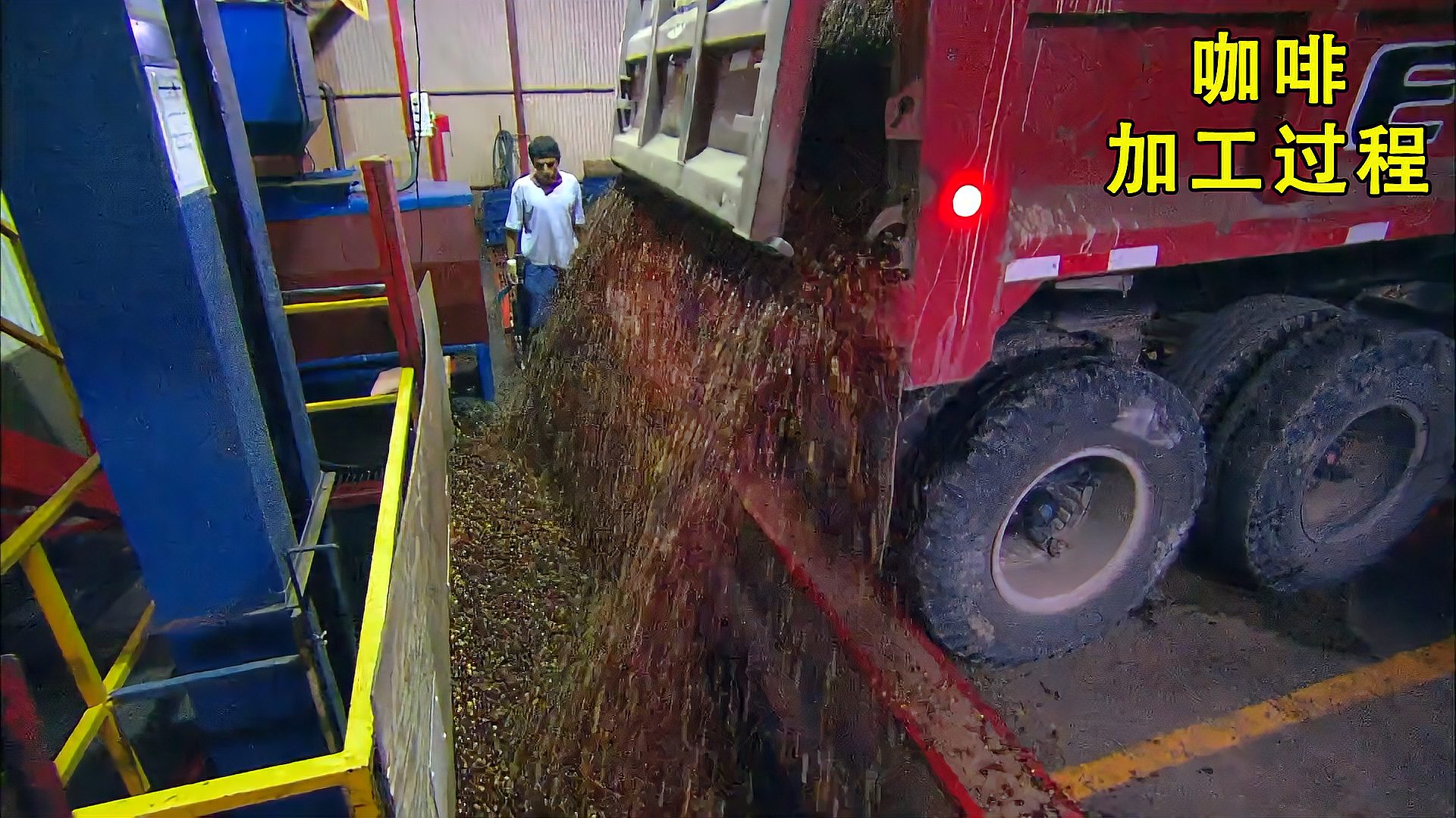 揭秘咖啡加工厂