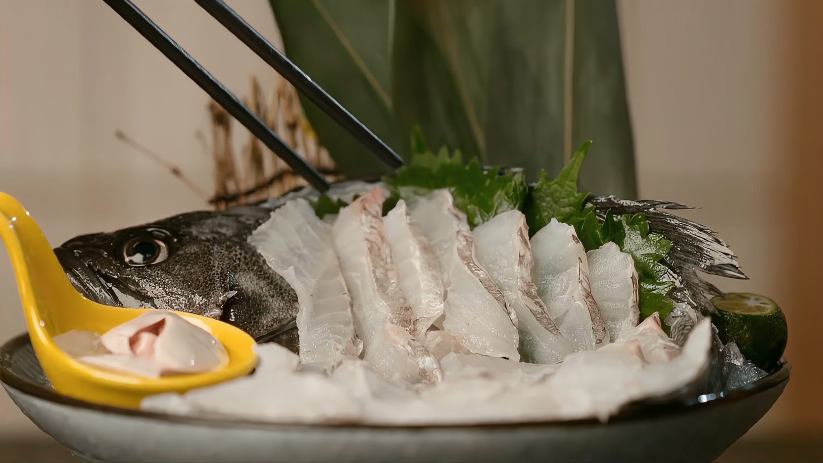 大连本地的黑鱼做成刺身