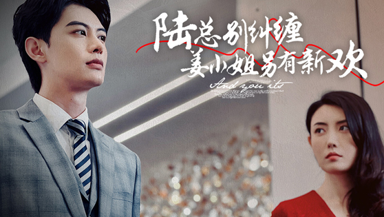 陆总别纠缠