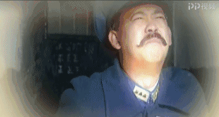 真假青天现形记·姜武