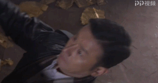 执着的追踪·樊少皇