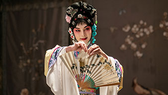 鬓边不是海棠红