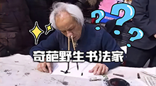 民间奇葩书法大师