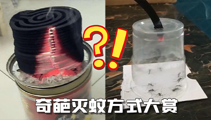 夏日灭蚊计划再启动