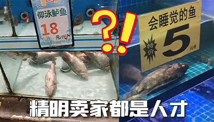 自古买的没有卖的精