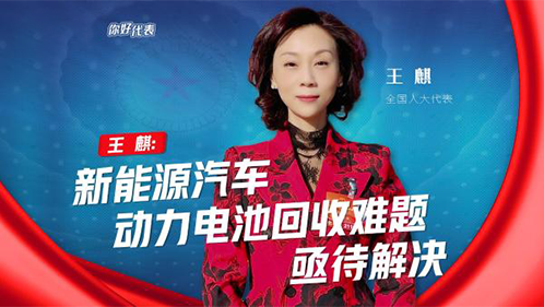 你好，代表｜王麒