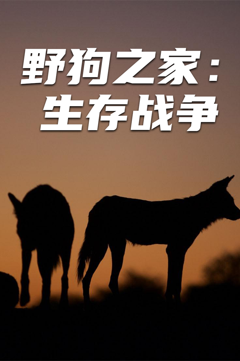 野狗之家：生存战争