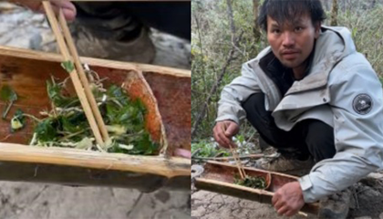 贵州选手野外无火生存20天