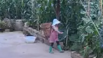 女子反抗猥亵被害