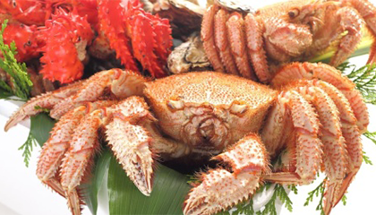 南京大学食堂“太顶”