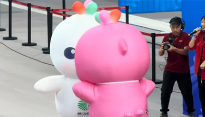 “海豚变鸡”刷屏全网