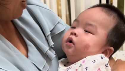 网红去世年仅3岁 