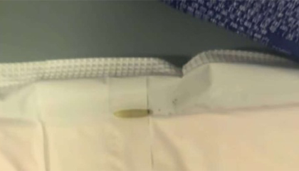 苏菲卫生巾被曝有活虫