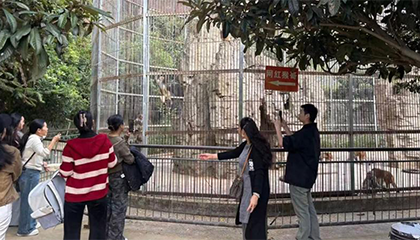 男子在贵州凯里动物园喂猴