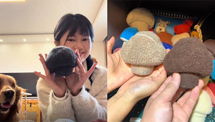 男子炫耀妻子贤惠