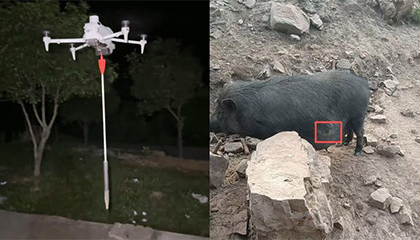 今天扎野猪，明天可能就扎到人