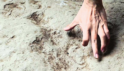 四川发现迷你恐龙足迹