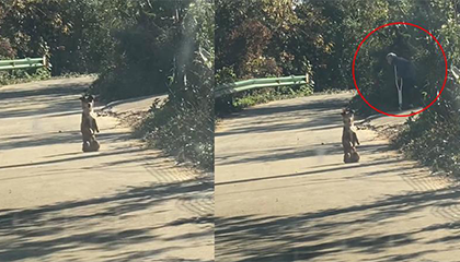 拄拐奶奶要走过乡村小道