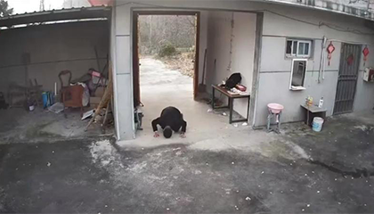 80后男子跪别已无亲人的老宅