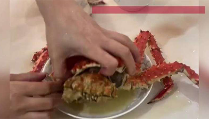 男子贪便宜96元网购帝王蟹