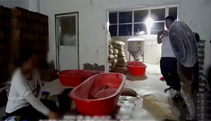 网购的进口奶粉可能是假的