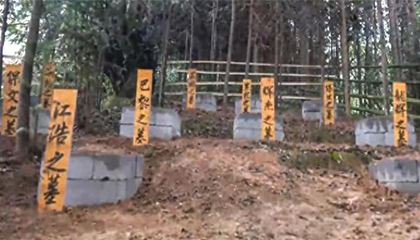 云南一片墓地长眠16只缉毒犬