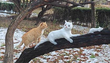 大爷用雪堆出逼真猫咪