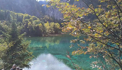 涉嫌电诈男子被列追逃