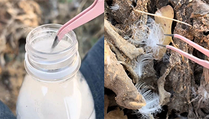 江苏一女子从源头抓起