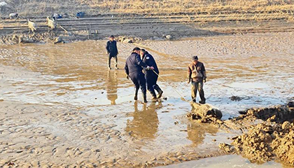 赶羊大爷抄近路