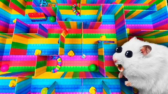 萌宠仓鼠大闯关