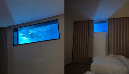 住店拉开窗帘竟是泳池水底
