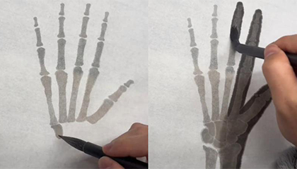 医学生用毛笔画解剖图