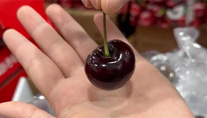 年货顶流车迎价格“大跳水”