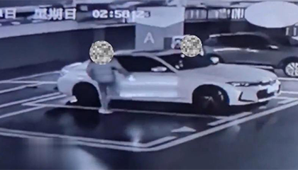 男子“拉车门”盗窃财物