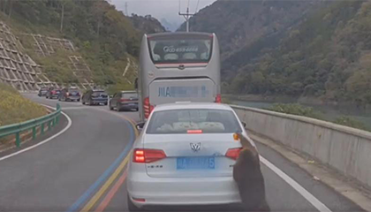 小车车尾装了个橘子饰品