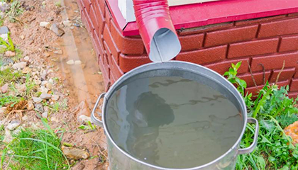 二楼直排半年粪水