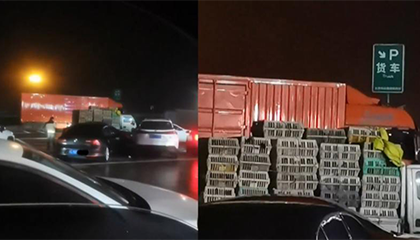 货车司机拉一车鸡进服务区