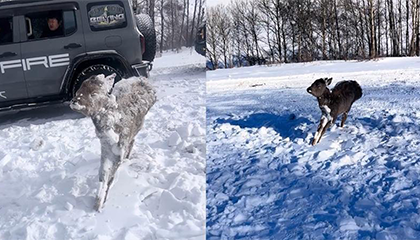 内蒙古气温零下25度