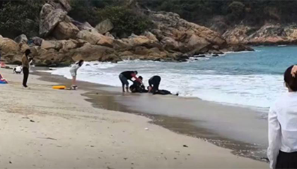 深圳一沙滩滑翔伞坠落