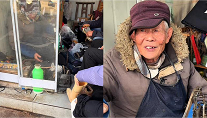 女子假肢断裂换新要上万元