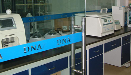 男子离婚后发现女儿非亲生