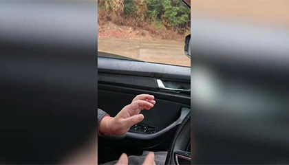 主人春节后返城工作