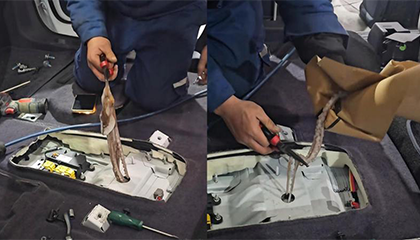 八爪鱼钻车里后消失了