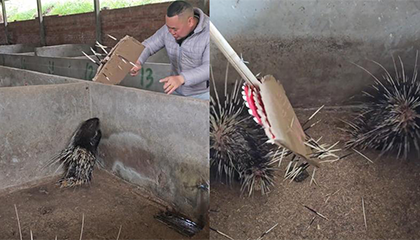 古有“草船借箭”