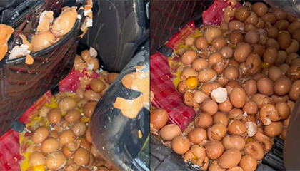 新能源SUV突然紧急制动