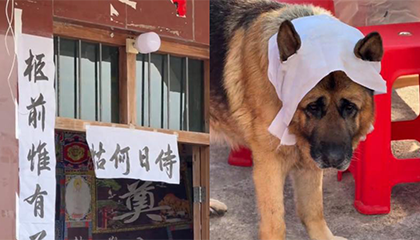 网友祖父因病离世